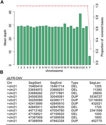 Case Report: Twin Pregnancy Gives Birth to a Girl with Partial Trisomy 21 Mosaicism after in vitro Fertilization and Embryo Transfer